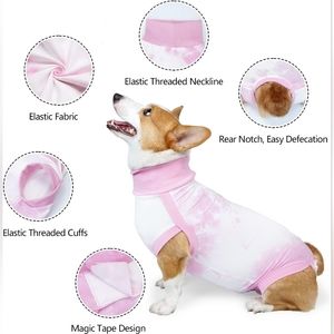 Small Pet Recovery Bodysuit / Onesie After Surgery / Wounds / Anti-Licking
